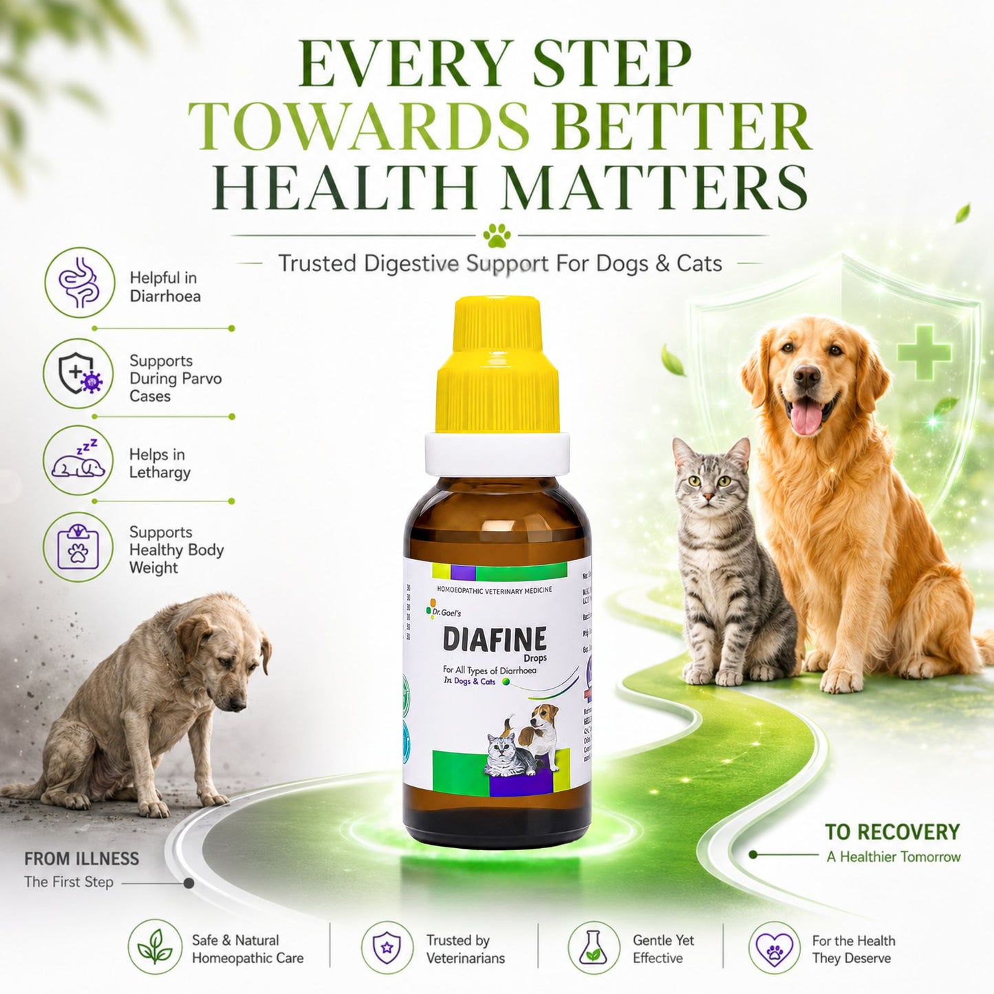 DIAFINE for PETS 20ML for Diarrhoea and PARVO