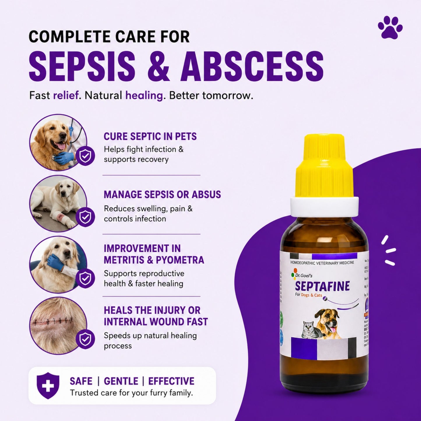 SEPTAFINE DROPS for PETS 30ML for Sepsis or absus