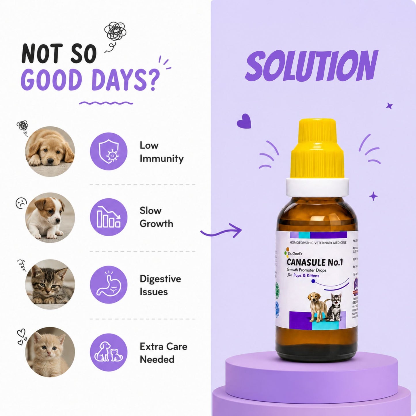 CANASULE No.1 for PUPS and KITTENS 30ml For Boosting Immunity