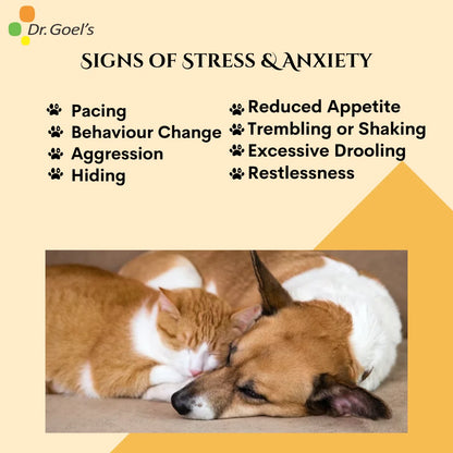 STRESSZA for Pets 30ml For Stress and Anxiety