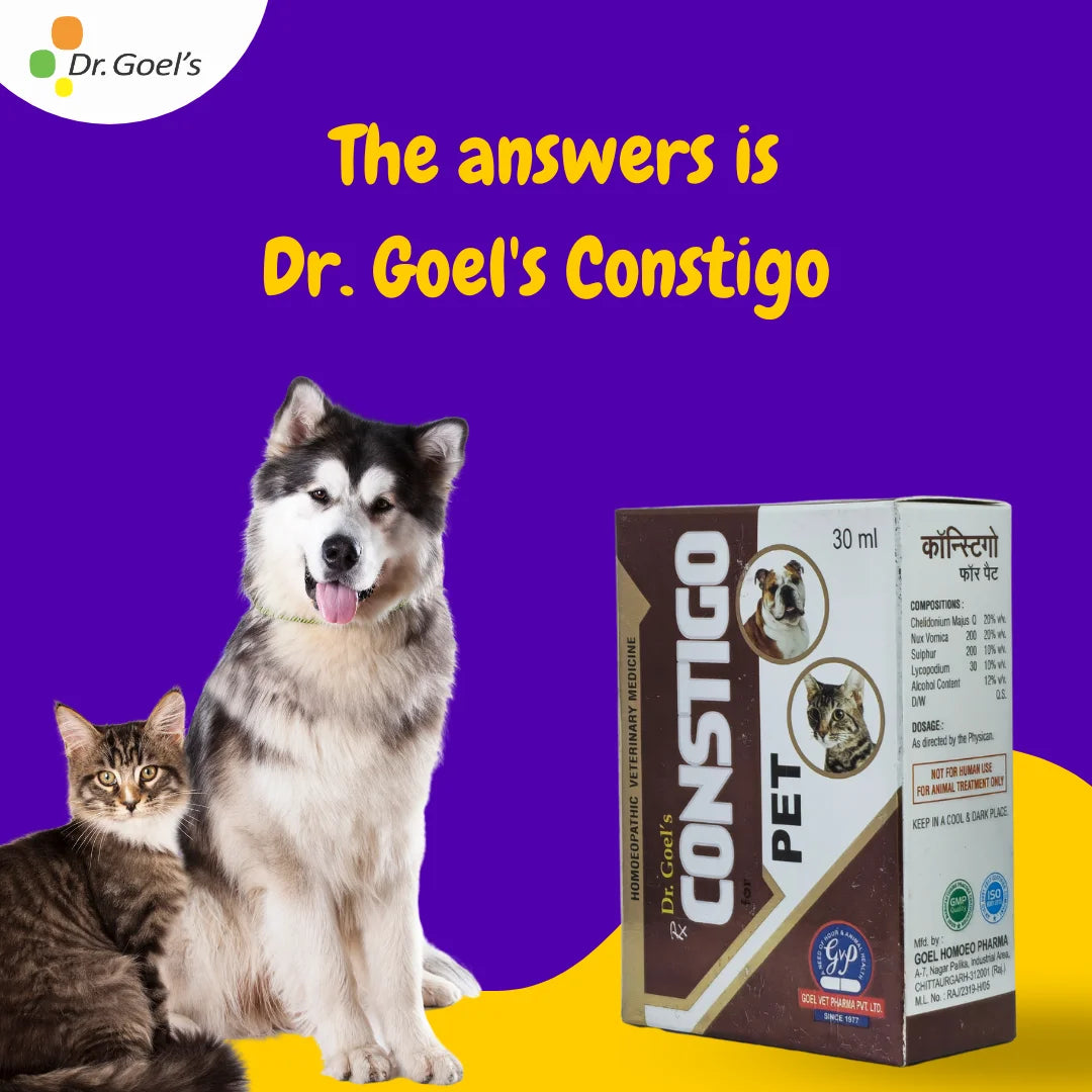 CONSTIGO for PETS 30ML For Constipation Problems