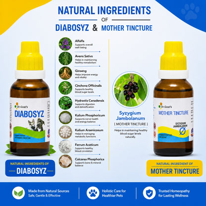 DIABOSYZ JUMBO KIT for PETS 30ML For Diabetes