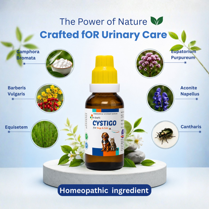 CYSTIGO for PETS 30ml For Urinary Problems