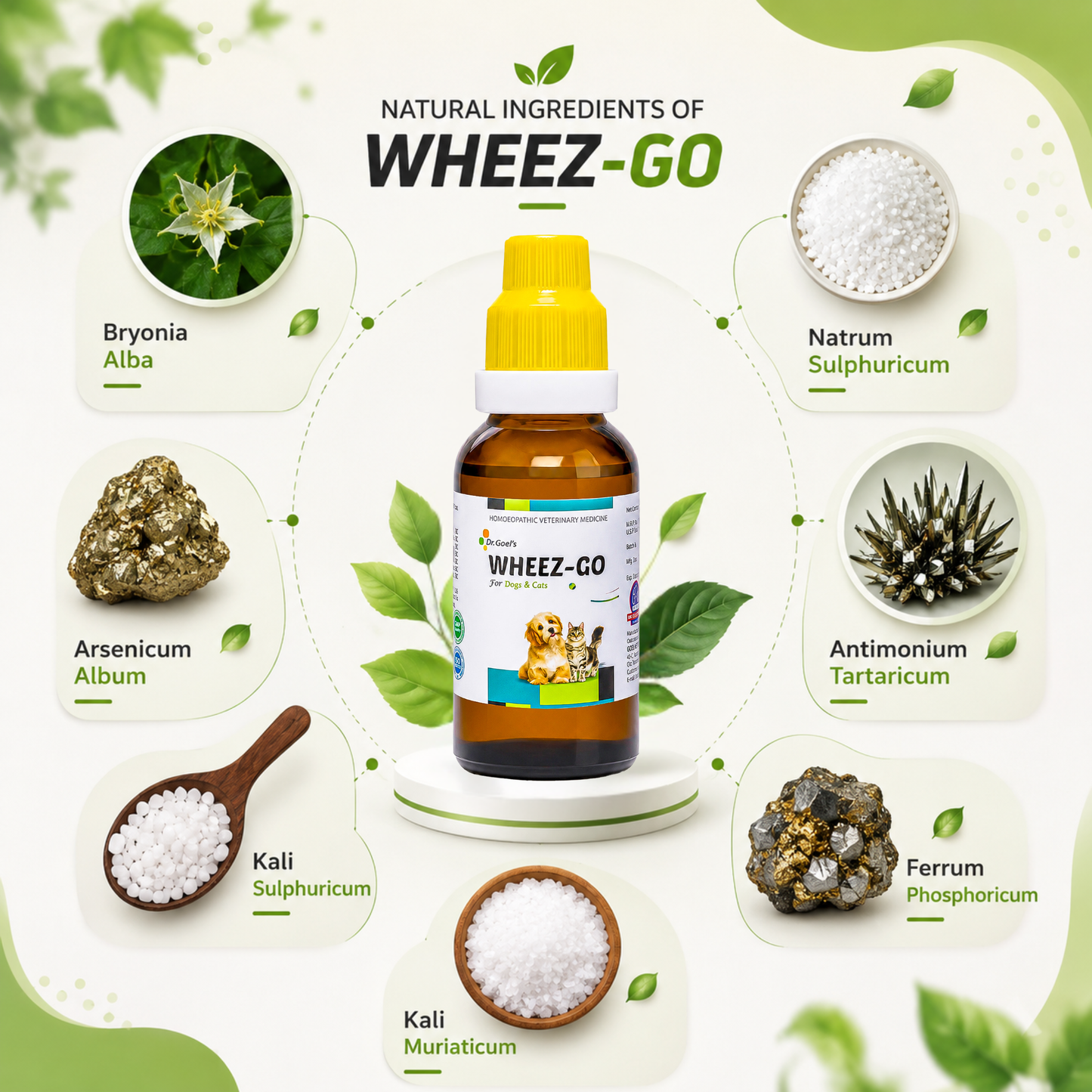WHEEZ-GO for Pet 30ml For Cough and Cold