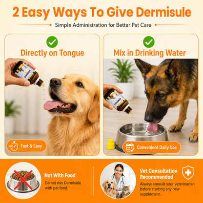 DERMISULE for PETS 30ml For Skin Infections