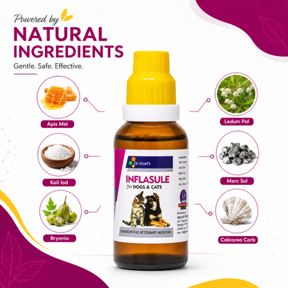 INFLASULE for PETS 30ml For Joint Pain & Rheumatism