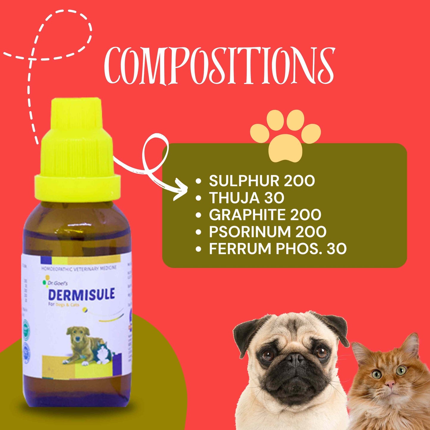 Triple Action For Soothing Skin Dermisule + Me & My Skin & Coat + Aloe Vera Shampoo (Combo)