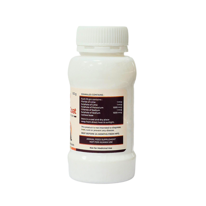 Me and My SKIN And COAT 100 GM For skin issues in Pets