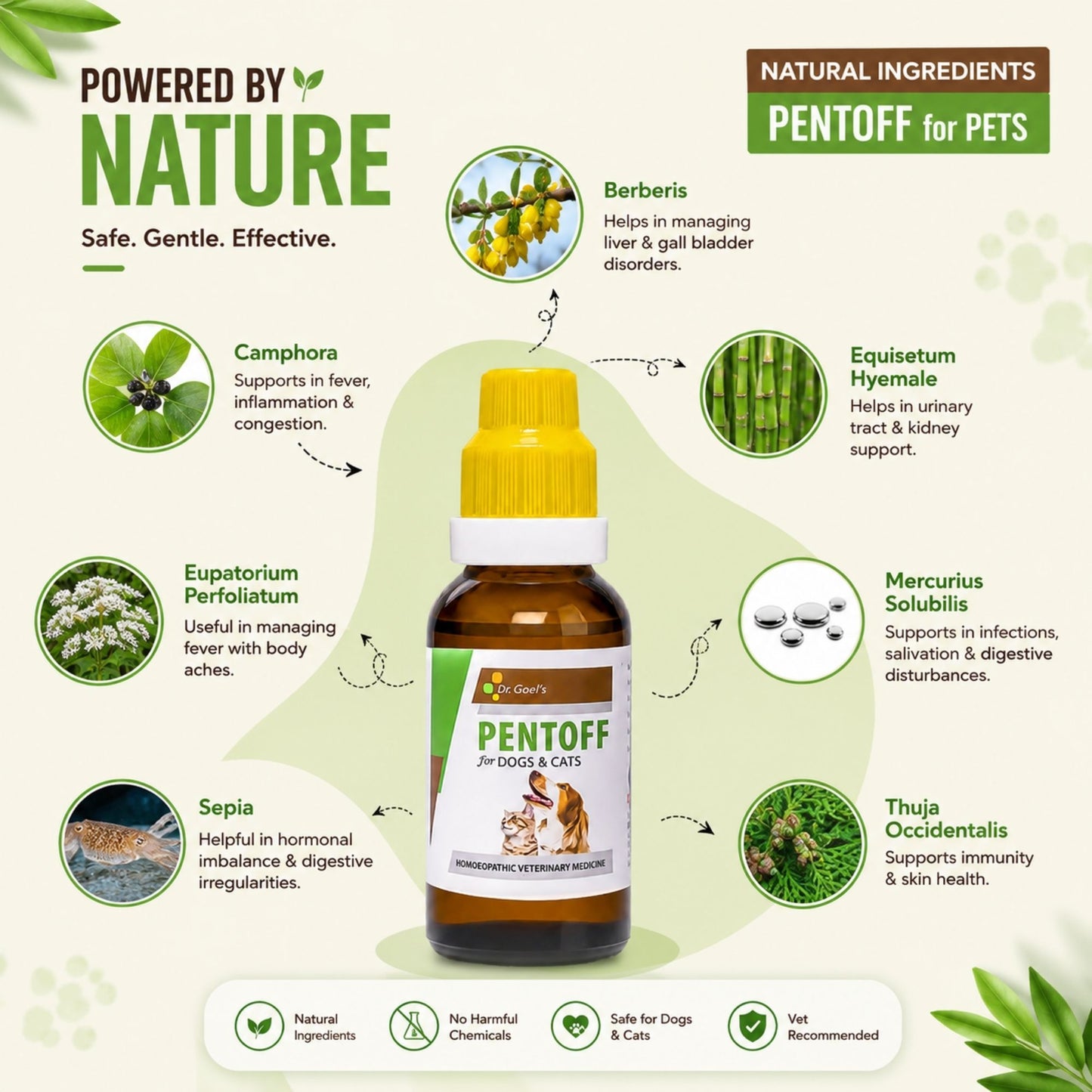 PENTOFF for PETS 20ML For Anorexia