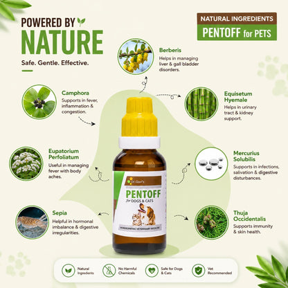 PENTOFF for PETS 20ML For Anorexia