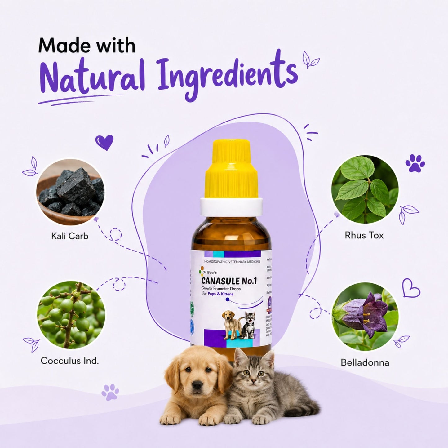 CANASULE No.1 for PUPS and KITTENS 30ml For Boosting Immunity