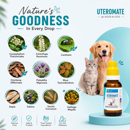 UTEROMATE DROPS for PETS 30ML For UTERINE Troubles in Females