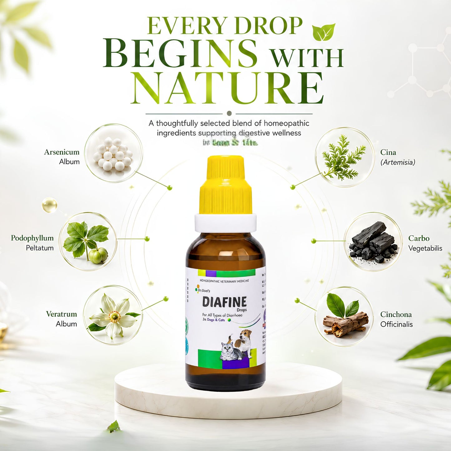 DIAFINE for PETS 20ML for Diarrhoea and PARVO