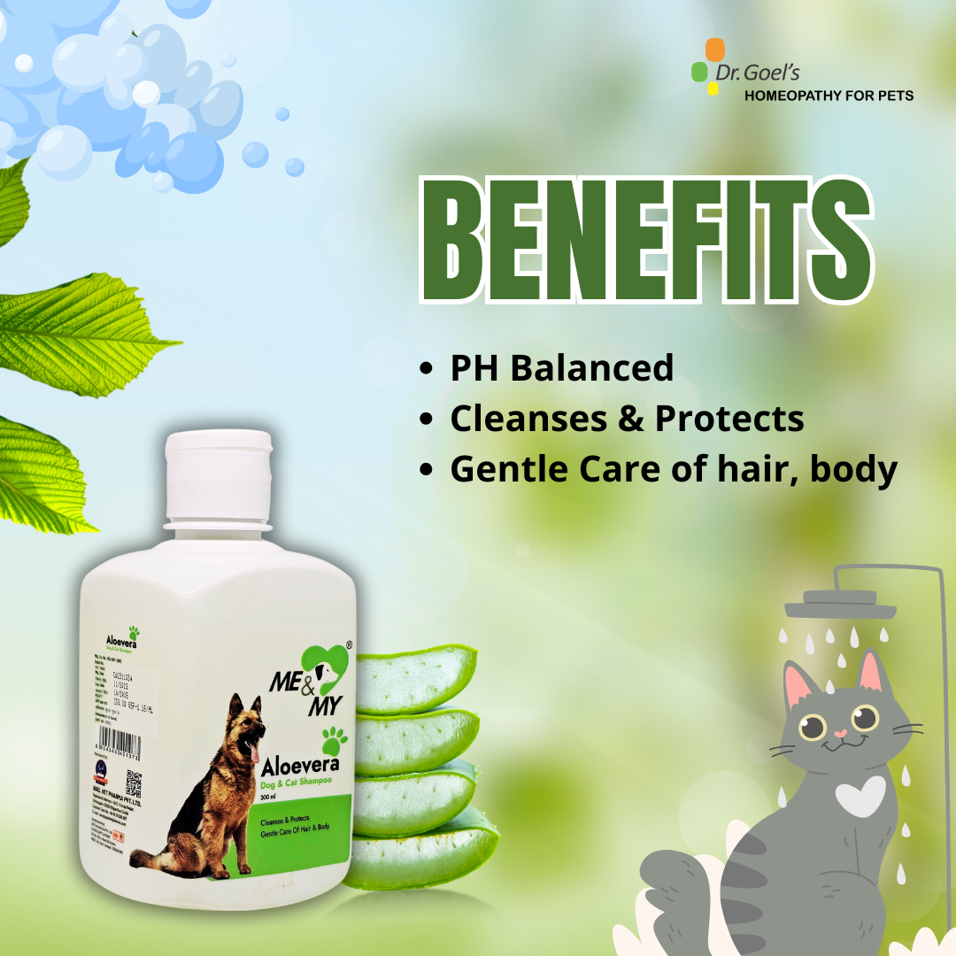 Aloevera Pet Shampoo for gentle care of hair and body coat