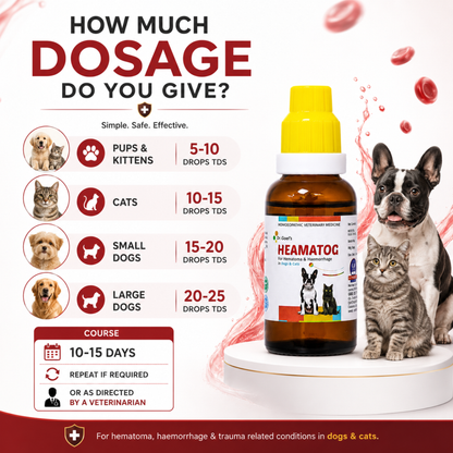 HEAMATOG For Hematoma & Haemorrhage in Dogs & Cats