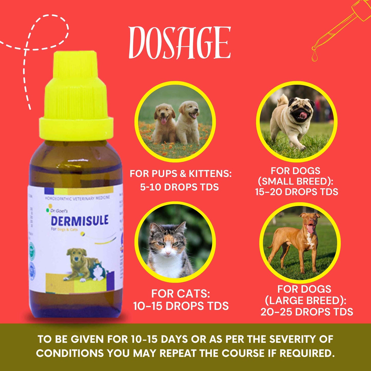 Triple Action For Soothing Skin Dermisule + Me & My Skin & Coat + Aloe Vera Shampoo (Combo)