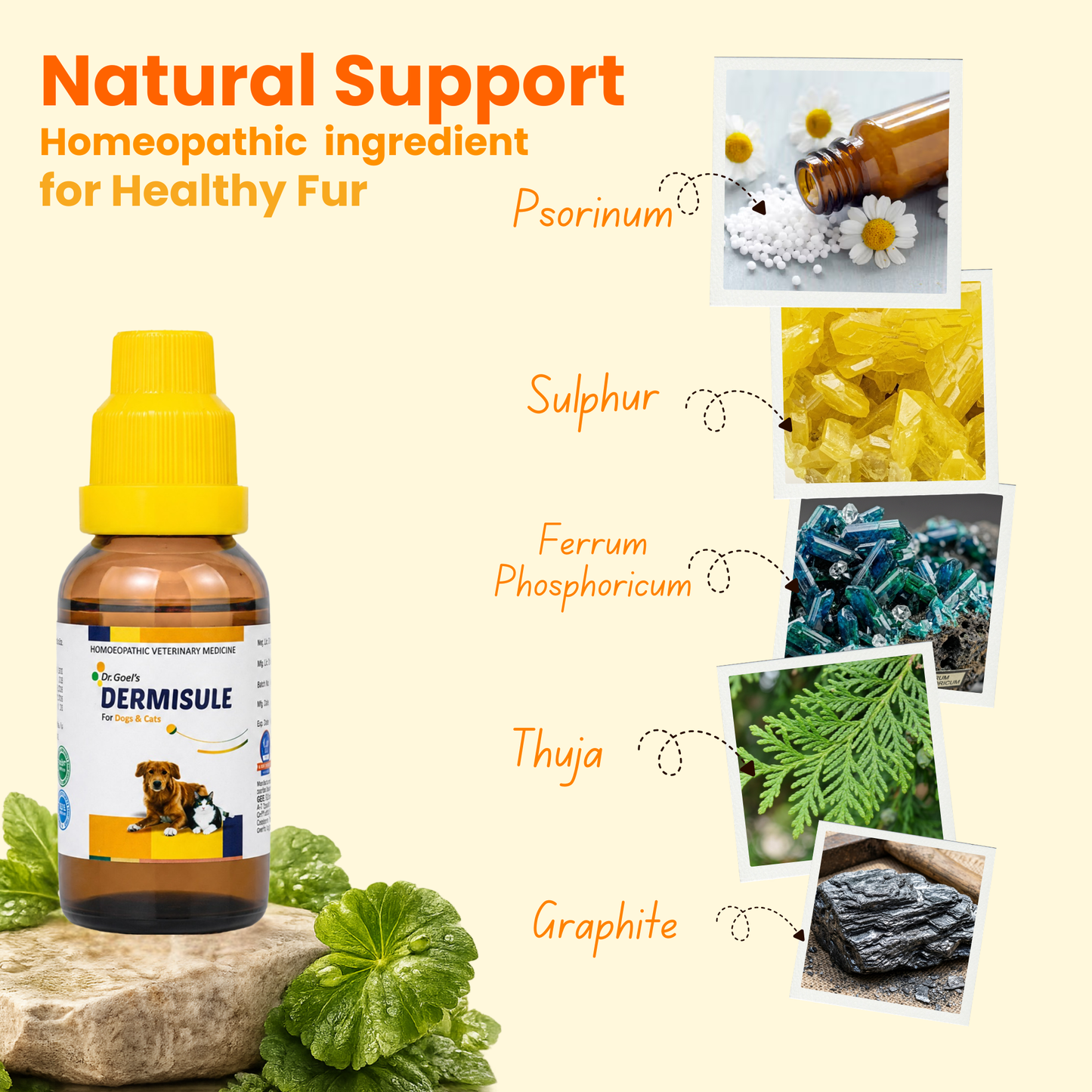 DERMISULE for PETS 30ml For Skin Infections