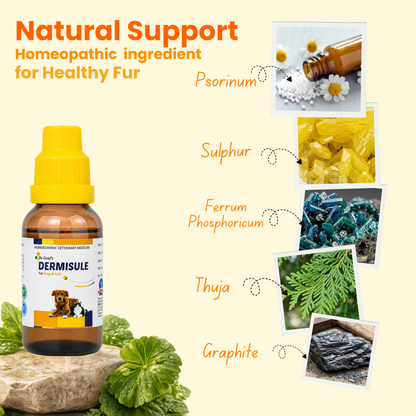 DERMISULE for PETS 30ml For Skin Infections