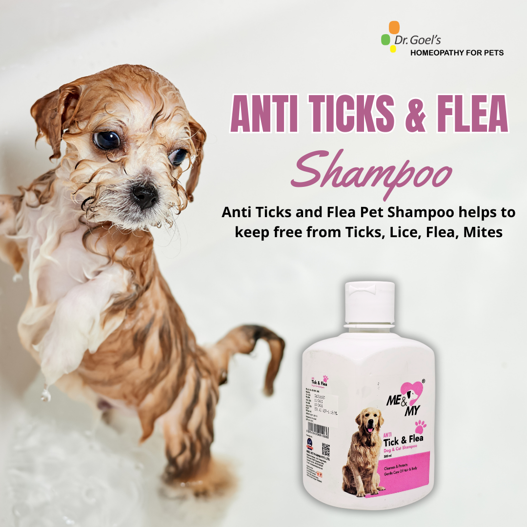 Anti Ticks and Flea Pet Shampoo helps to keep free from Ticks, Lice, Flea, Mites