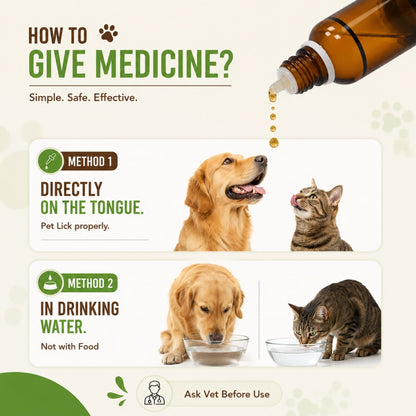PENTOFF for PETS 20ML For Anorexia