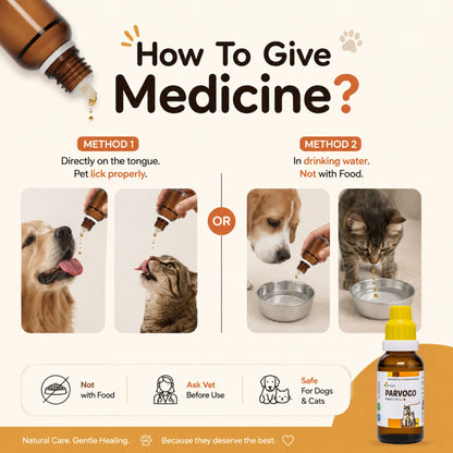 PARVOGO for PARVO VIRUS in DOG and CAT