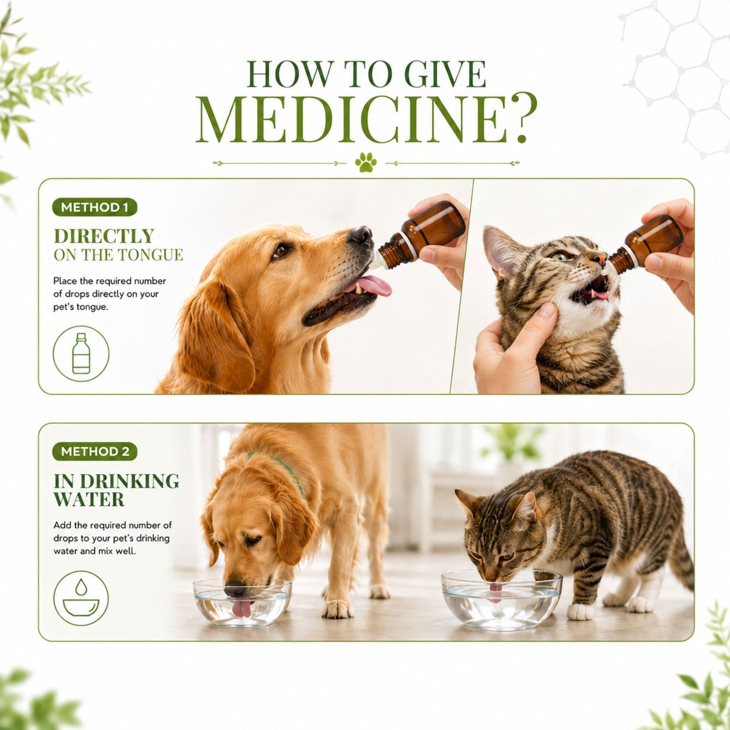 DIAFINE for PETS 20ML for Diarrhoea and PARVO