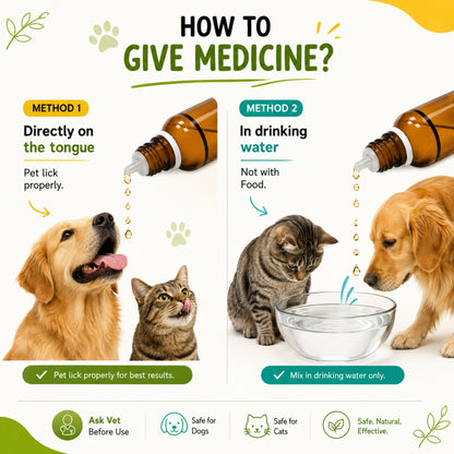 IMMUNOVA for INCREASING IMMUNITY in PETS