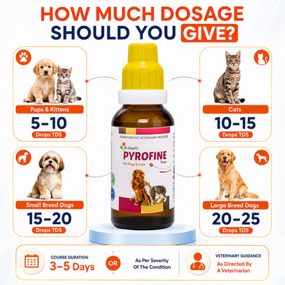 PYROFINE for PETS 20ML for Fever or Pyrexia
