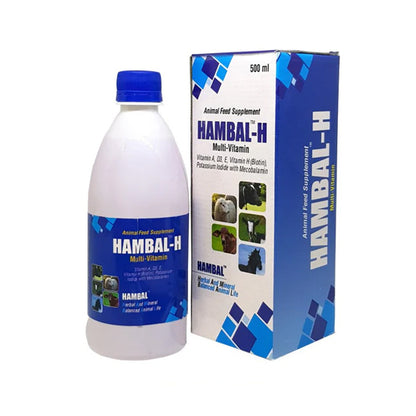 HAMBAL H 500ML Vitamin H for Cattle