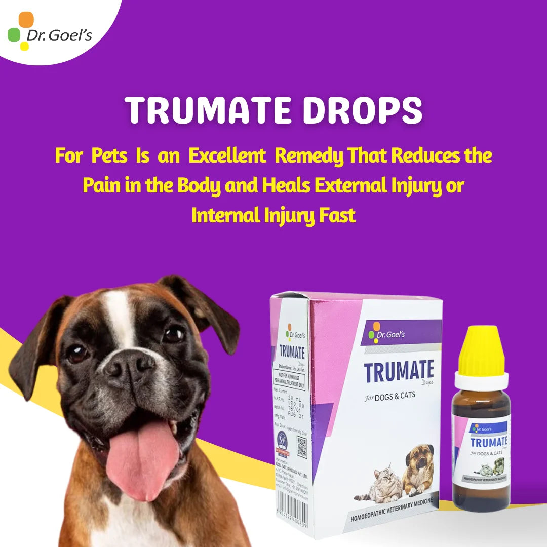 TRUMATE DROPS for PETS 20ML for Injury, Sprain, Trauma, Ear Hematoma