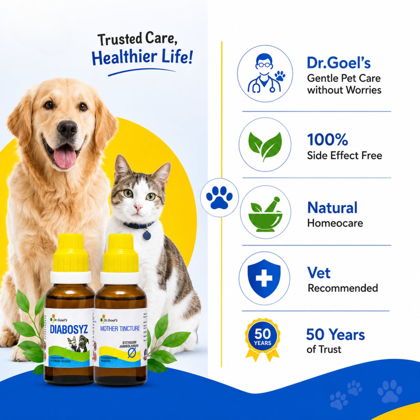 DIABOSYZ JUMBO KIT for PETS 30ML For Diabetes