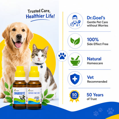 DIABOSYZ JUMBO KIT for PETS 30ML For Diabetes