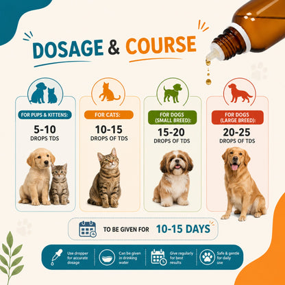 NEUROMATE for PET 30ml For Epilepsy or seizure disorder