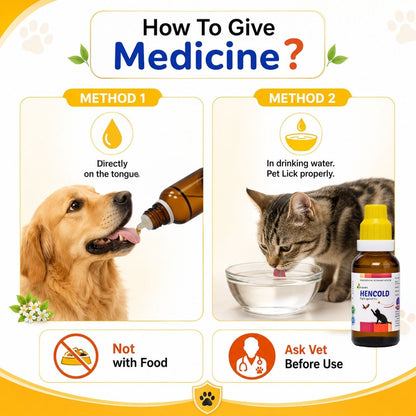 HENCOLD For Dogs and Cats To Fight Against Flu, H5N1, & Bird Flu