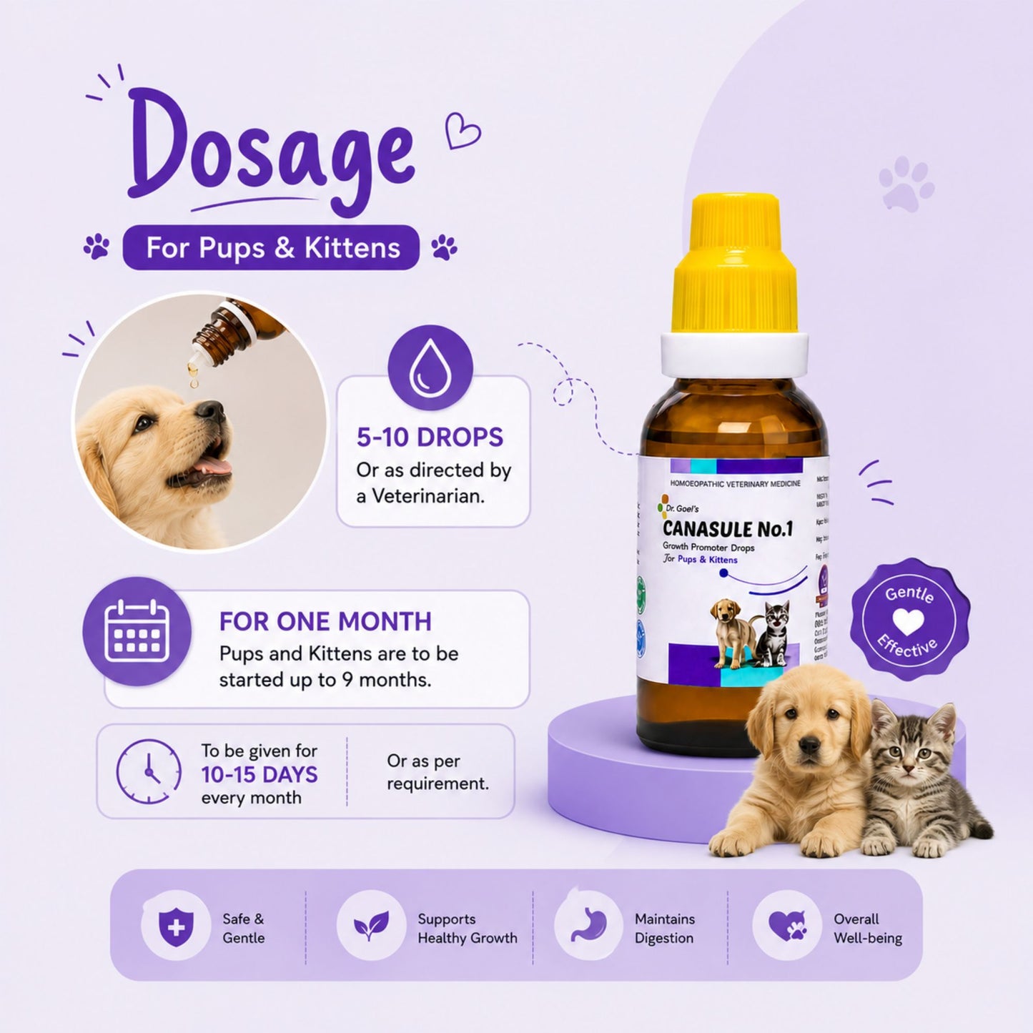 CANASULE No.1 for PUPS and KITTENS 30ml For Boosting Immunity