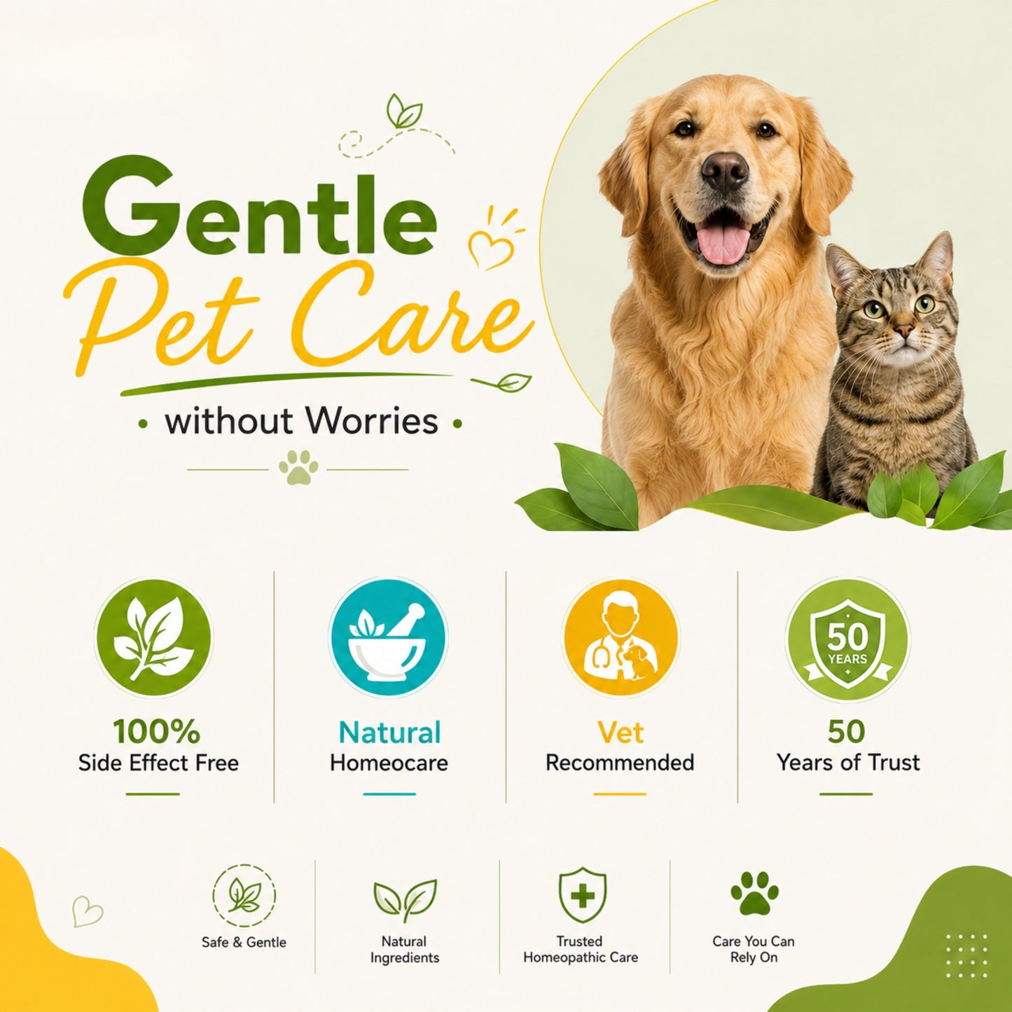IMMUNOVA for INCREASING IMMUNITY in PETS