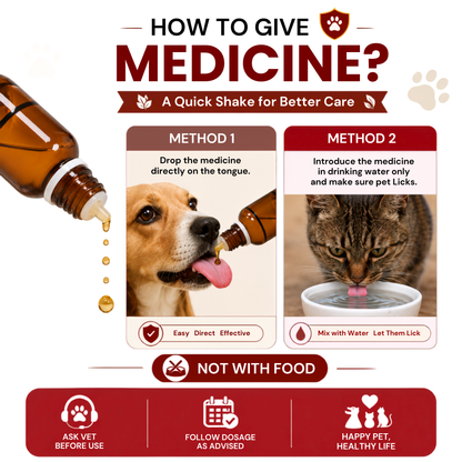 HEAMATOG For Hematoma & Haemorrhage in Dogs & Cats