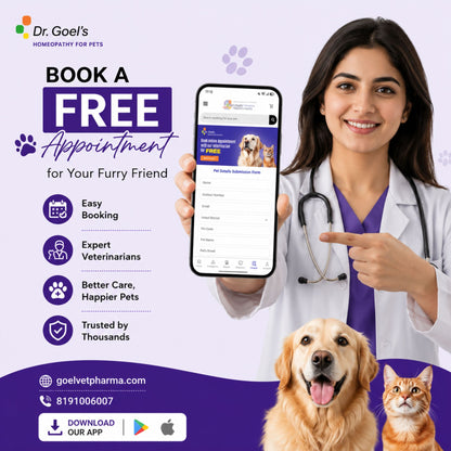 SEPTAFINE DROPS for PETS 30ML for Sepsis or absus