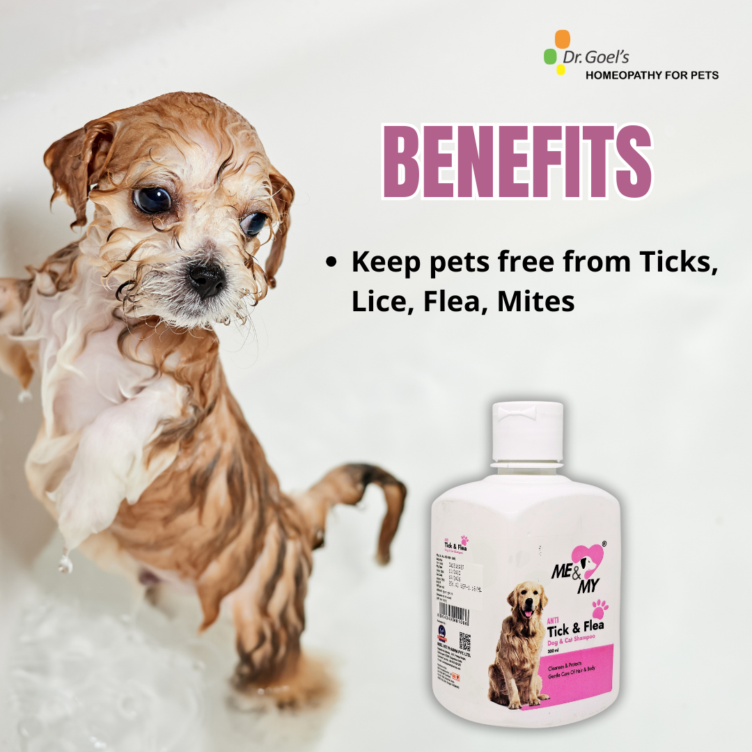 Anti Ticks and Flea Pet Shampoo helps to keep free from Ticks, Lice, Flea, Mites