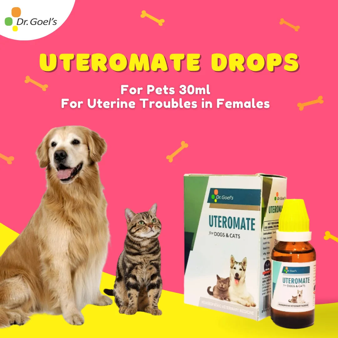 UTEROMATE DROPS for PETS 30ML For UTERINE Troubles in Females