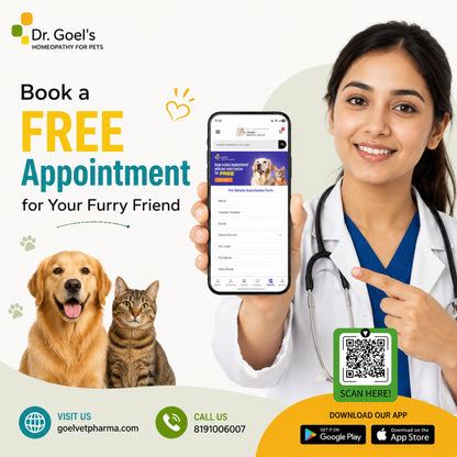 IMMUNOVA for INCREASING IMMUNITY in PETS