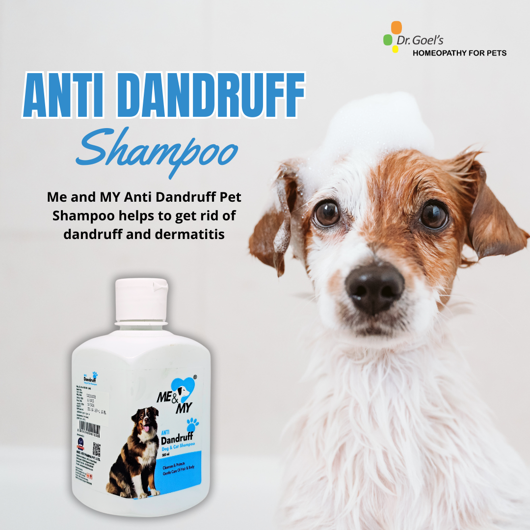 Me and MY Anti Dandruff Pet Shampoo helps to get rid of dandruff and dermatitis