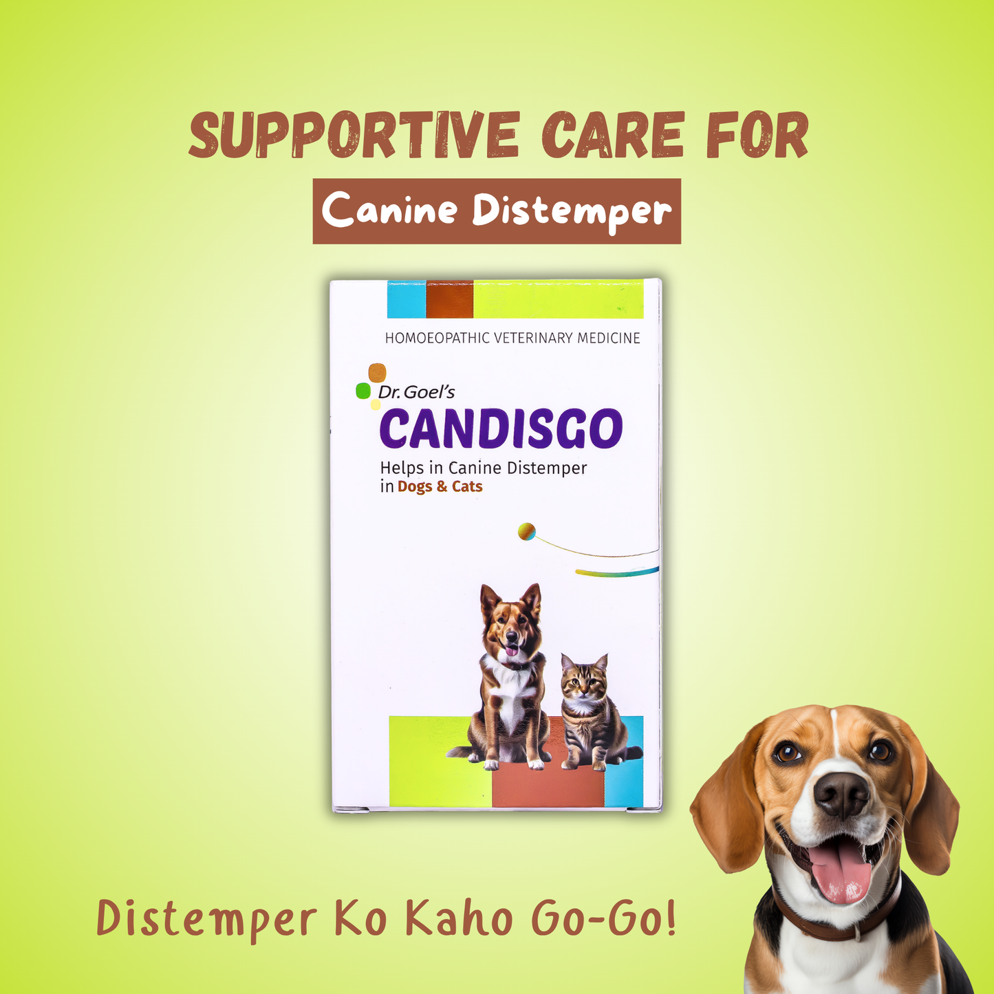 CANDISGO Helps in Canine Distemper in Dogs & Cats