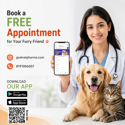 PYROFINE for PETS 20ML for Fever or Pyrexia