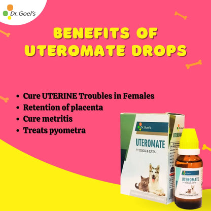 UTEROMATE DROPS for PETS 30ML For UTERINE Troubles in Females