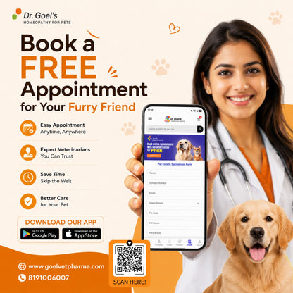 PARVOGO for PARVO VIRUS in DOG and CAT