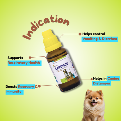 CANDISGO Helps in Canine Distemper in Dogs & Cats