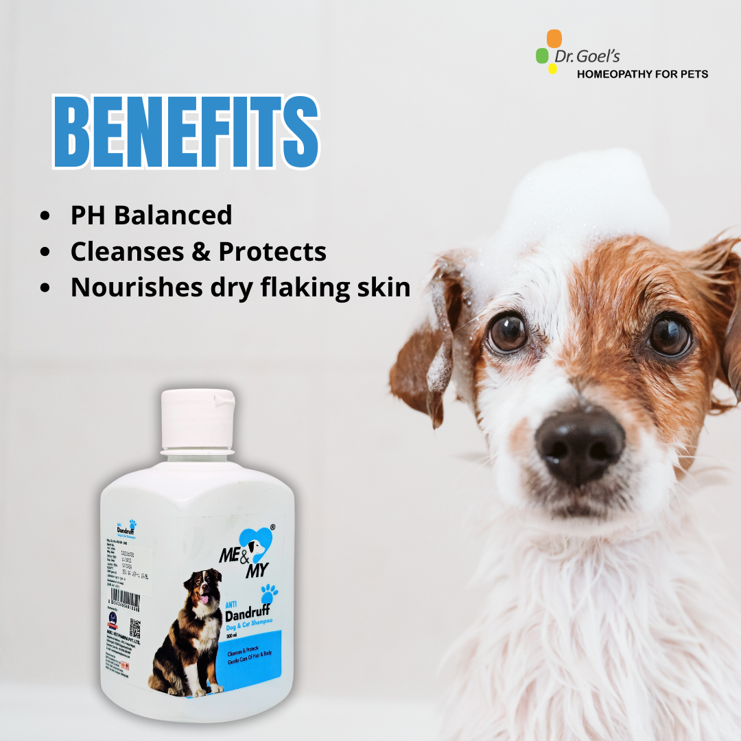 Me and MY Anti Dandruff Pet Shampoo helps to get rid of dandruff and dermatitis