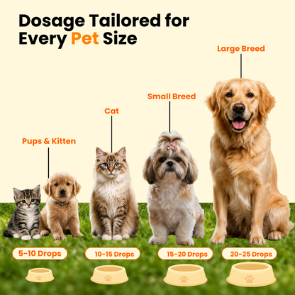 DERMISULE for PETS 30ml For Skin Infections