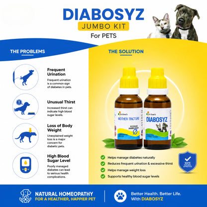 DIABOSYZ JUMBO KIT for PETS 30ML For Diabetes